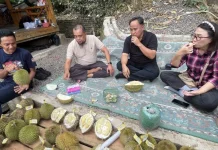 Gagal Panen Tahun Lalu, Durian Cibendung Kini Diburu Pengunjung