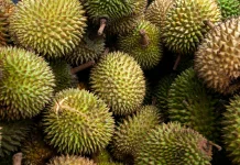 Rahasia Memilih Durian Manis dan Berkualitas tanpa Dibuka
