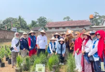 Pemkab Serang Dorong Kampung Hortikultura untuk Perkuat Pangan