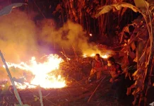 Enam Hektar Lahan di Cigeulis Terbakar