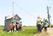 Listrik Sawah Bantu Petani Lebak Atasi Kemarau