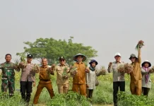 Bawang Merah Dipanen, Pemkab Serang Kejar Swasembada