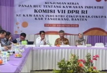 Perlidungan Aksi Premanisme Jadi Pertimbangan Pembahasan RUU Kawasan Industri
