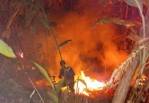 DLH Pandeglang Imbauan Pencegahan Kebakaran Lahan Warga