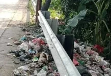 DLH Lebak Bersihkan Dua Belas Titik Sampah Liar
