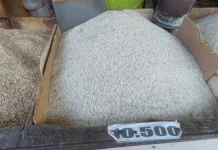Produksi Beras Lebak Surplus hingga Empat Belas Bulan