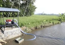 Pompanisasi Lebak Jaga Produksi Pangan saat Kemarau