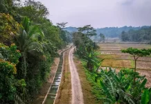 Hadapi Kemarau Panjang, Pemprov Banten Akan Perbaiki Irigasi 81 Kilometer
