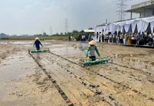 Balai Modernisasi Pertanian Bersama BI Banten Gelar Gerakan Tanam Serentak