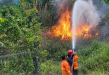 Kekeringan Picu Risiko Kebakaran Lahan