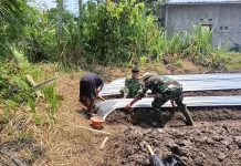 TNI Dampingi Petani Pandeglang Genjot Produktivitas Melon
