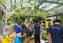 World Clean Up Banten Kumpulkan 59 Kilogram Sampah untuk Didaur Ulang