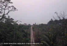 Status Gunung Anak Krakatau Turun Jadi Level II Waspada