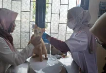 Tantangan Vaksinasi Rabies pada Hewan Liar di Pandeglang