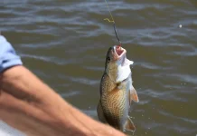 Tip Memilih Ukuran Kail Sesuai Target Ikan