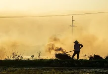 Asap Pembakaran Sampah Ancam Kesehatan dan Lingkungan