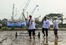 DKPP Serang Tanam Padi 500 Hektare Serentak