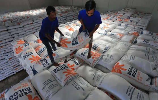 Stok Beras di Tiga Daerah Dipastikan Aman, Bulog Terus Serap Hasil Panen Petani