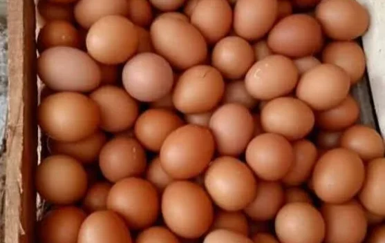 Dua Minggu Terkahir, Harga Telur dan Ayam di Kabupaten Lebak Turun