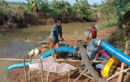 BMKG Imbau Petani Lakukan Penyesuaian Jadwal Tanam untuk Hadapi El Nino 2026 - RRI.co.id