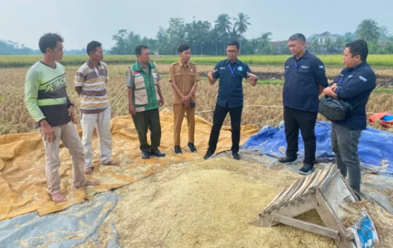 Beroperasi Penuh, Lebak Niaga Perseroda Mampu Produksi 700 Ton Beras
