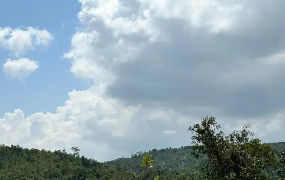 Cuaca Cerah Berawan Dominasi Wilayah Banten Hari Ini