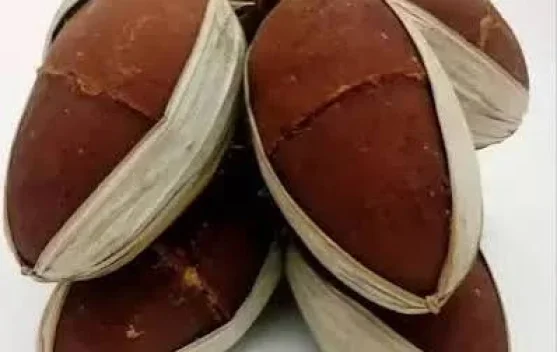 Tingkatkan Kesejahtetaan Petani, Pemasaran Gula Aren Lebak Diperkuat