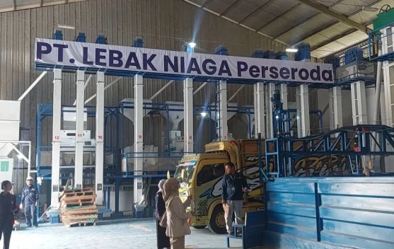 Perseroda Lebak Niaga akan Lakukan Kontrak Farming dengan Petani