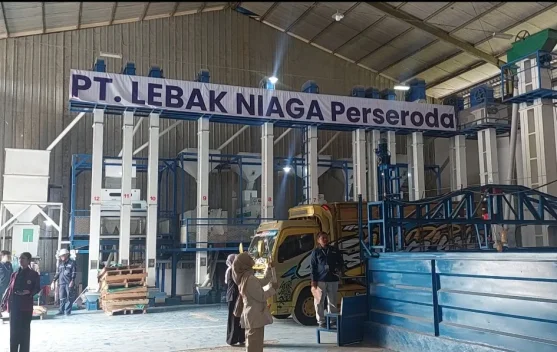 Surplus 172 Ribu Ton Beras, Lebak Siap Pasok Pangan Jabodetabek