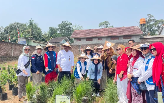 Pemkab Serang Dorong Kampung Hortikultura untuk Perkuat Pangan