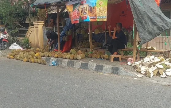 Panen Raya Durian Baduy, Penjual Ramai kan Kota Rangkasbitung