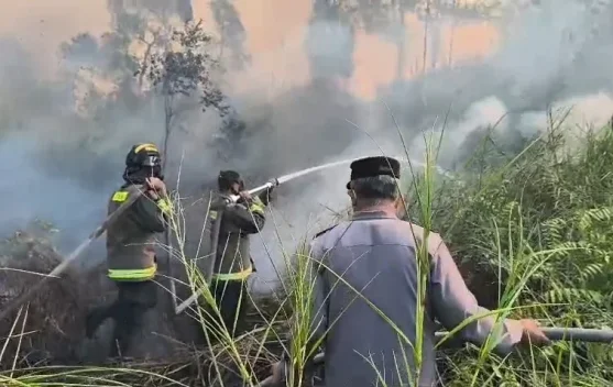 Polres Lebak Gencarkan Pencegahan Kebakaran Hutan