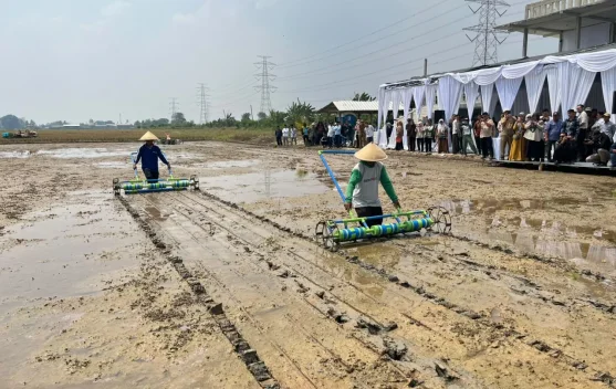 Balai Modernisasi Pertanian Bersama BI Banten Gelar Gerakan Tanam Serentak