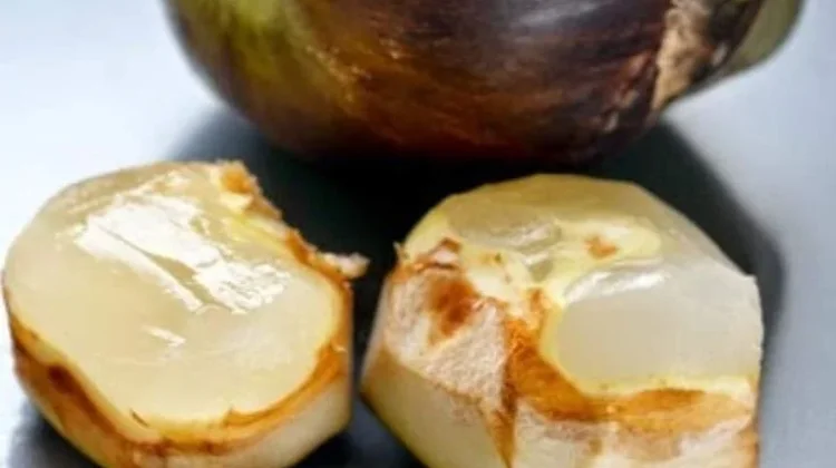 Buah Lontar Kaya Manfaat Sehat
