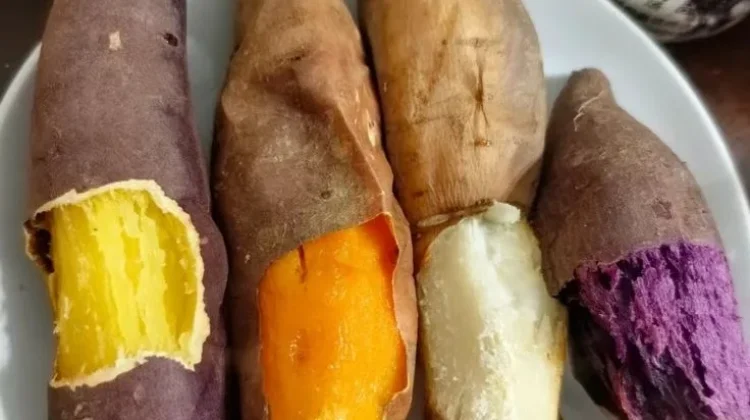 Beda Warna Ubi, Beda Manfaat untuk Kesehatan