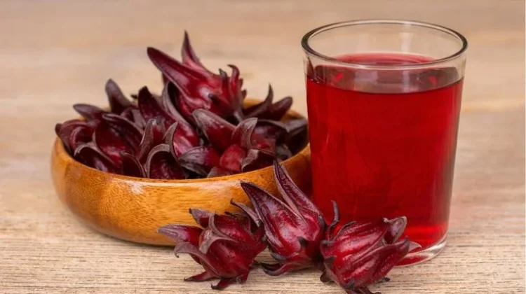 Teh Rosella, Minuman Herbal Kaya Manfaat