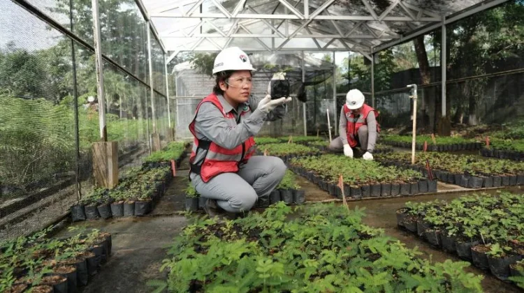 Bisnis dengan Otak, Bagaimana Ekonomi Mendukung Keputusan Cerdas
