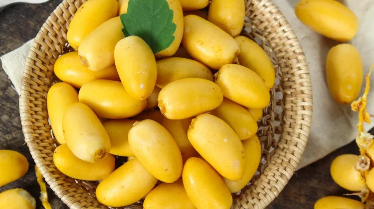 Benarkah Kurma Muda Tingkatkan Peluang Hamil?
