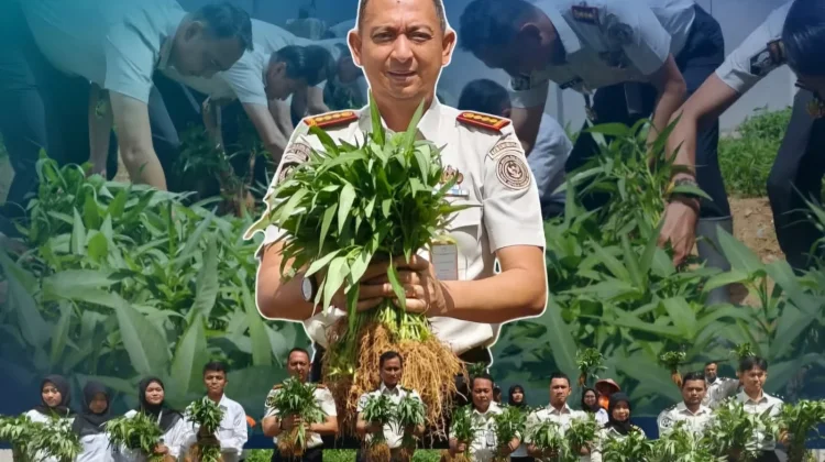 Panen 150 Kg Kangkung, Lapas Batam Wujudkan Ketahanan Pangan Nasional