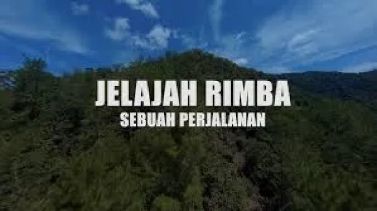 Sejarah Hari Bakti Rimbawan di Indonesia