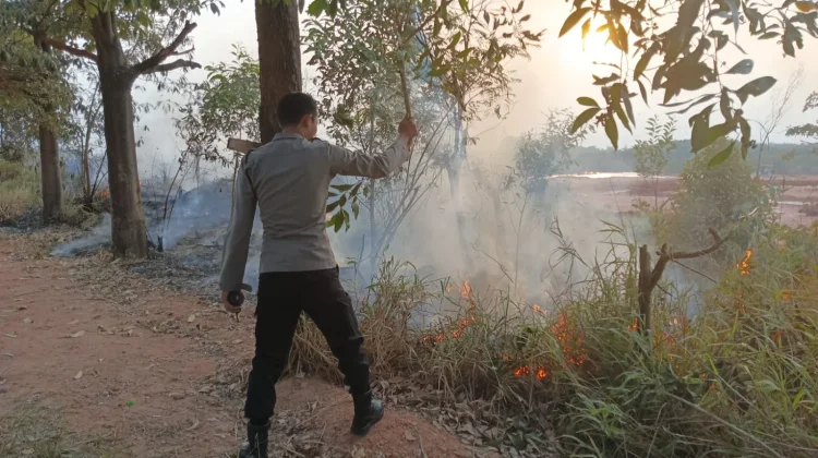 Lahan Terbakar di Nongsa, Polisi Gerak Cepat Usai Terima Laporan 110