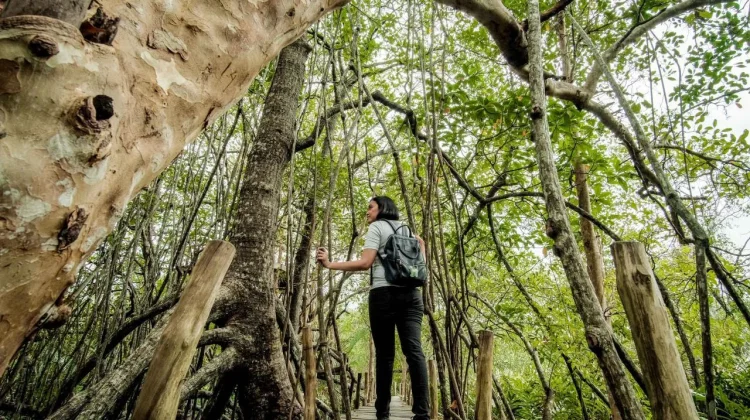 Pariwisata Berkelanjutan Jadi Fondasi Daya Saing Global Indonesia
