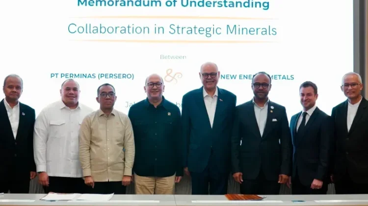 Danantara Dukung Kerja Sama Rare Earth Gabon–Indonesia