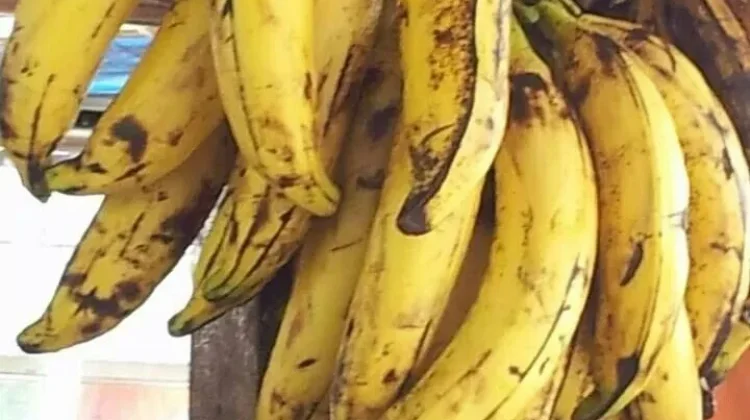 Bahaya Konsumsi Pisang Berlebihan