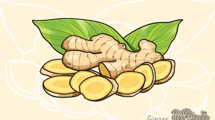 Rempah-Rempah Alami Jadi Pilihan Alternatif Efektif Redakan Gejala Flu
