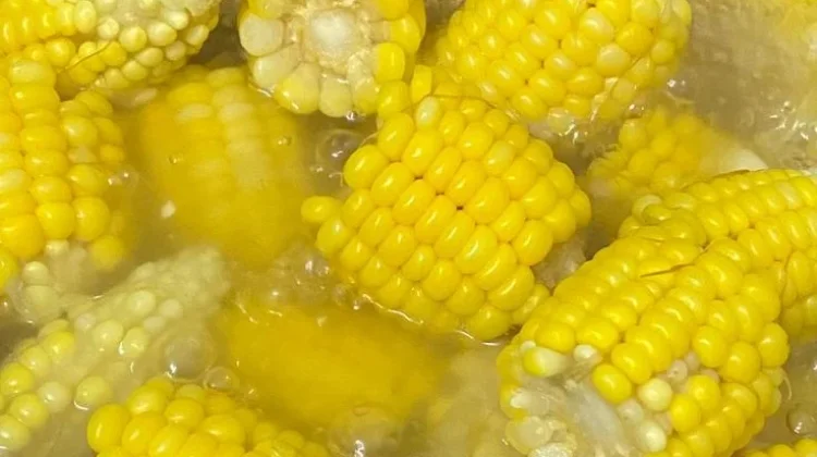 Jagung Rebus, Camilan Sehat Bergizi