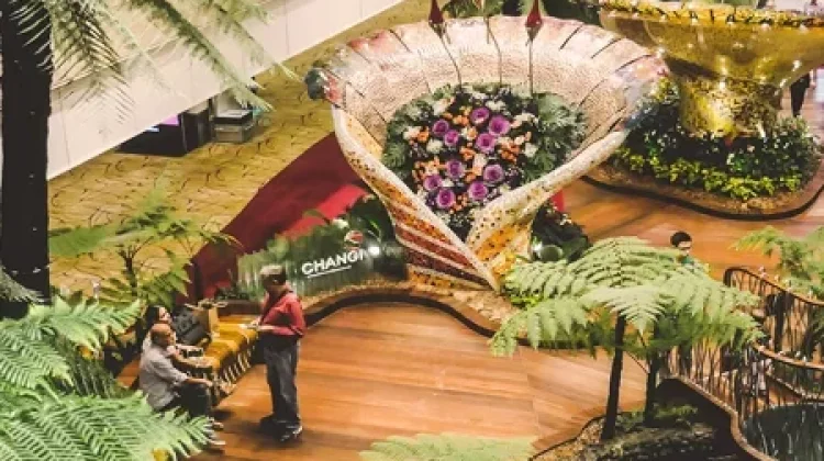 Penumpang Changi Naik, Rute Timur Tengah Turun Tajam