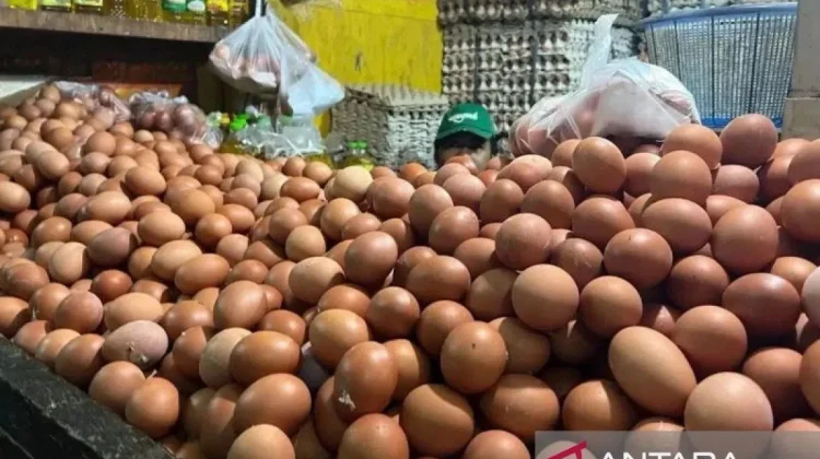[Hoaks] Video Pembuatan Telur Sintetis