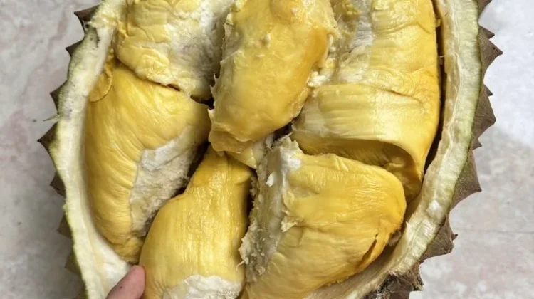 Durian Bawor, Primadona Lokal dari Banyumas