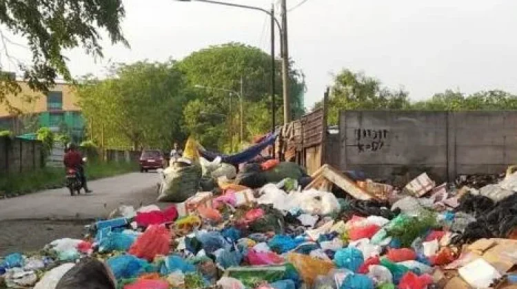Lingkungan Sehat Jadi Prioritas Pembeli Rumah